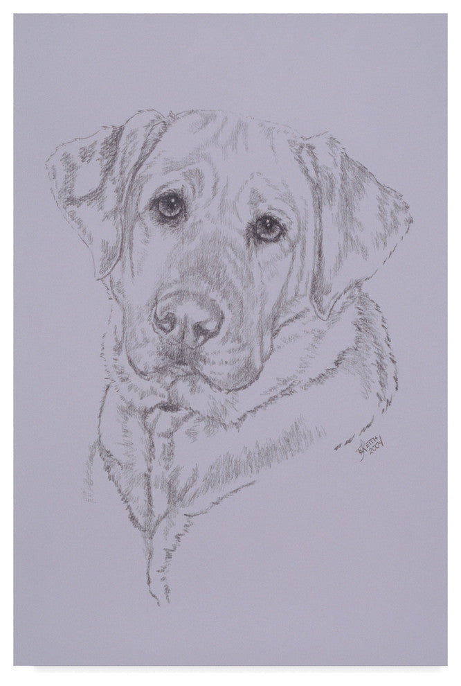 "Labrador Illustration" by Barbara Keith, Canvas Art
