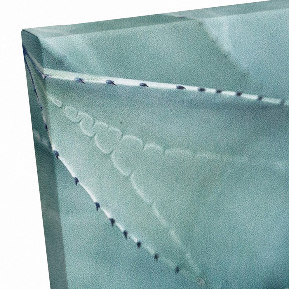 "Agave 3" Canvas Wall Art, 30"x20"