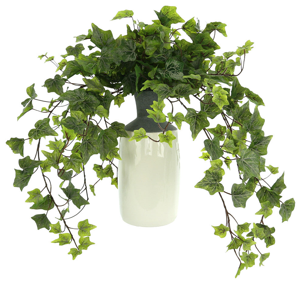 Organic Modern Ivy Arrangement in a Tall Ceramic Vase