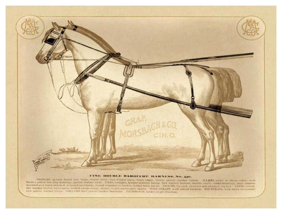 "Saddles and Tack: Fine Double Barouche Harness" Paper Print, 42"x32"