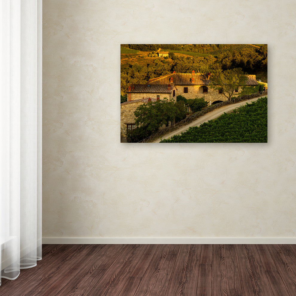 Dan Ballard 'Vineyard Evening' Canvas Art, 24"x16"