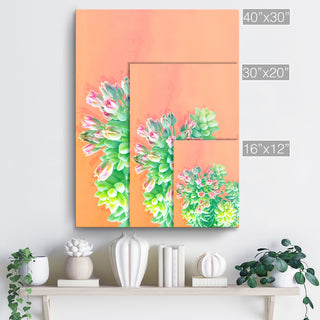 Ready2HangArt 'Fresh Growth' Wrapped Canvas Succulent Wall Art, 16"x12"
