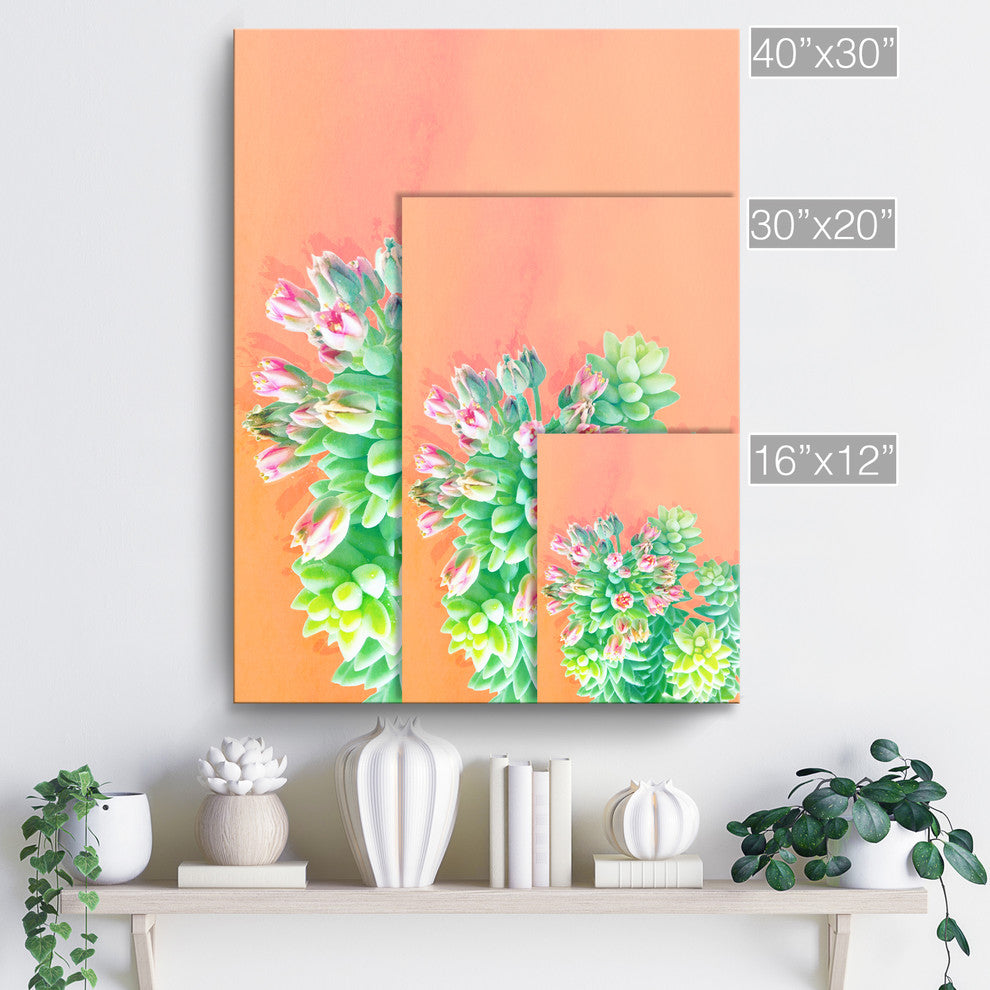 Ready2HangArt 'Fresh Growth' Wrapped Canvas Succulent Wall Art, 16"x12"