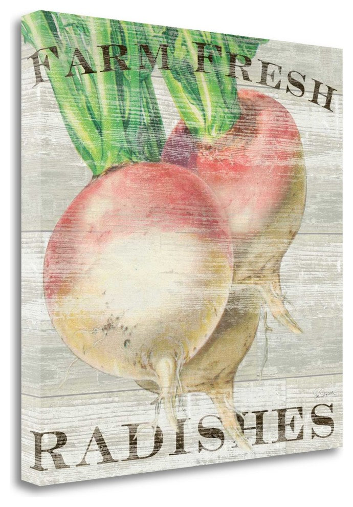 "Farm Fresh Radishes" By Sue Schlabach, Giclee Print on Gallery Wrap Canvas
