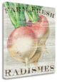 "Farm Fresh Radishes" By Sue Schlabach, Giclee Print on Gallery Wrap Canvas