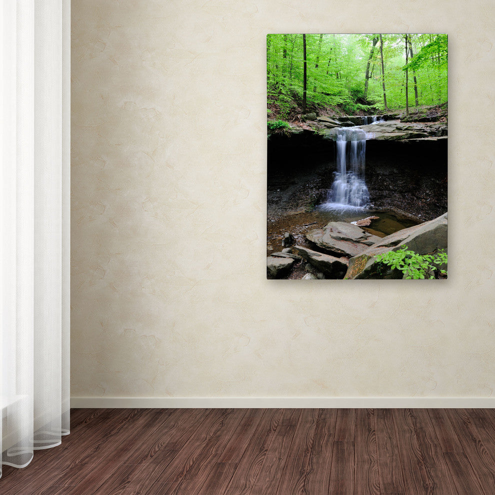 'Blue Hen Falls' Canvas Art by Kurt Shaffer