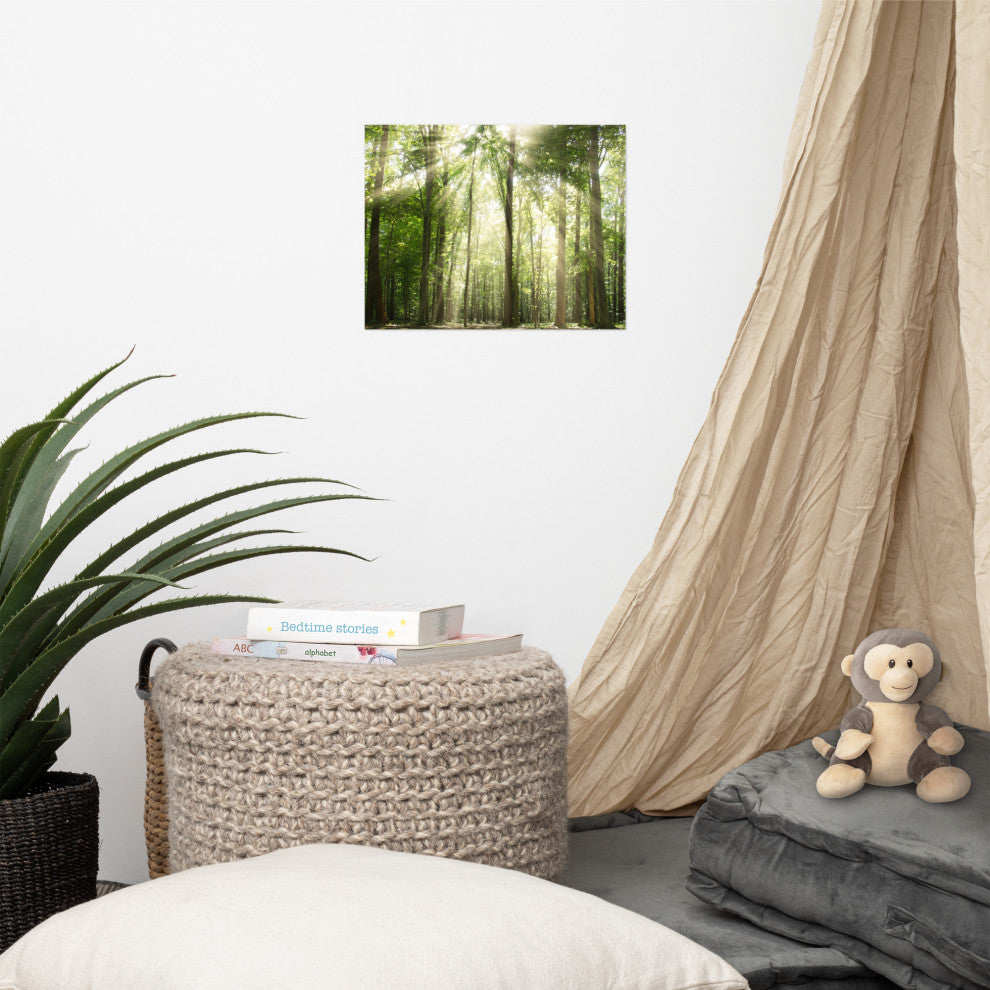 Sun Rays Through Treetops Landscape Photo Unframed Wall Art Print, 11" X 14"