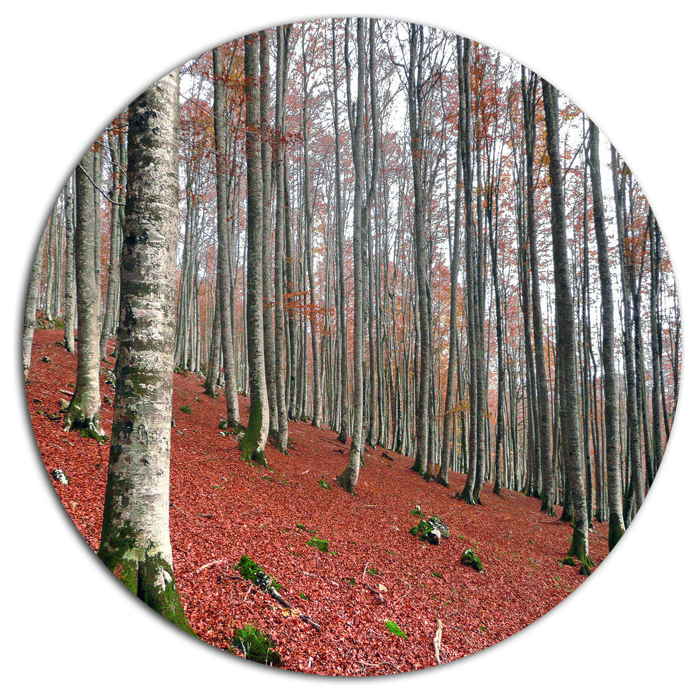 Serene Fall Forest With Red Ground, Forest Disc Metal Wall Art, 38"