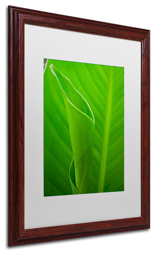 PIPA Fine Art 'Leaves Canna Lily' Matted Framed Art, 20x16