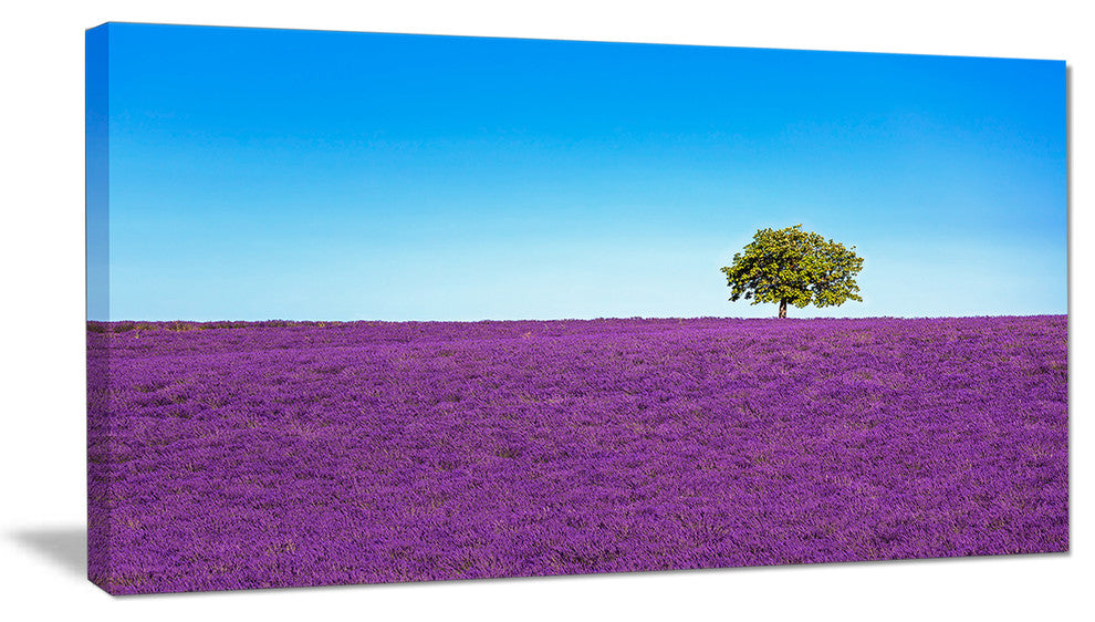 "Lonely Tree in Lavender Field" Landscape Wall Art Print, 32"x16"