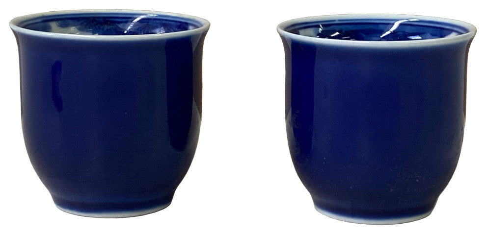 Pair Chinese Handmade Porcelain Blue White Fishes Graphic Cup Hws1353