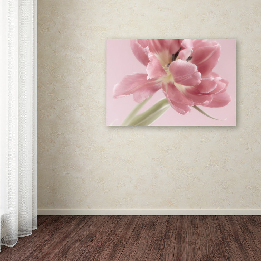 Cora Niele 'Soft Pink Tulip' Canvas Art