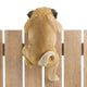 Climbing "Daisy" the Pug Decor