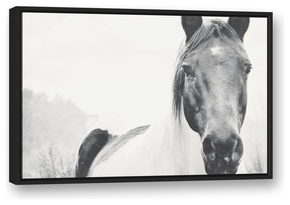 Black and White Lone Horse 24x36 Black Floating Framed Canvas