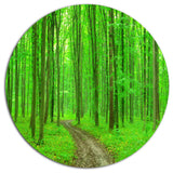Pathway In Bright Green Forest, Forest Disc Metal Wall Art, 36"