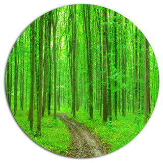 Pathway In Bright Green Forest, Forest Disc Metal Wall Art, 36"
