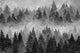 "Pine Forests" Painting Print on Wrapped Canvas, 18x12