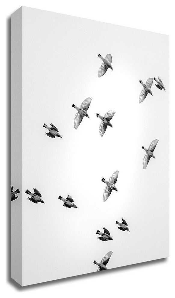 In the Sky 1 by Design Fabrikken, Print on Canvas, 20"x28"