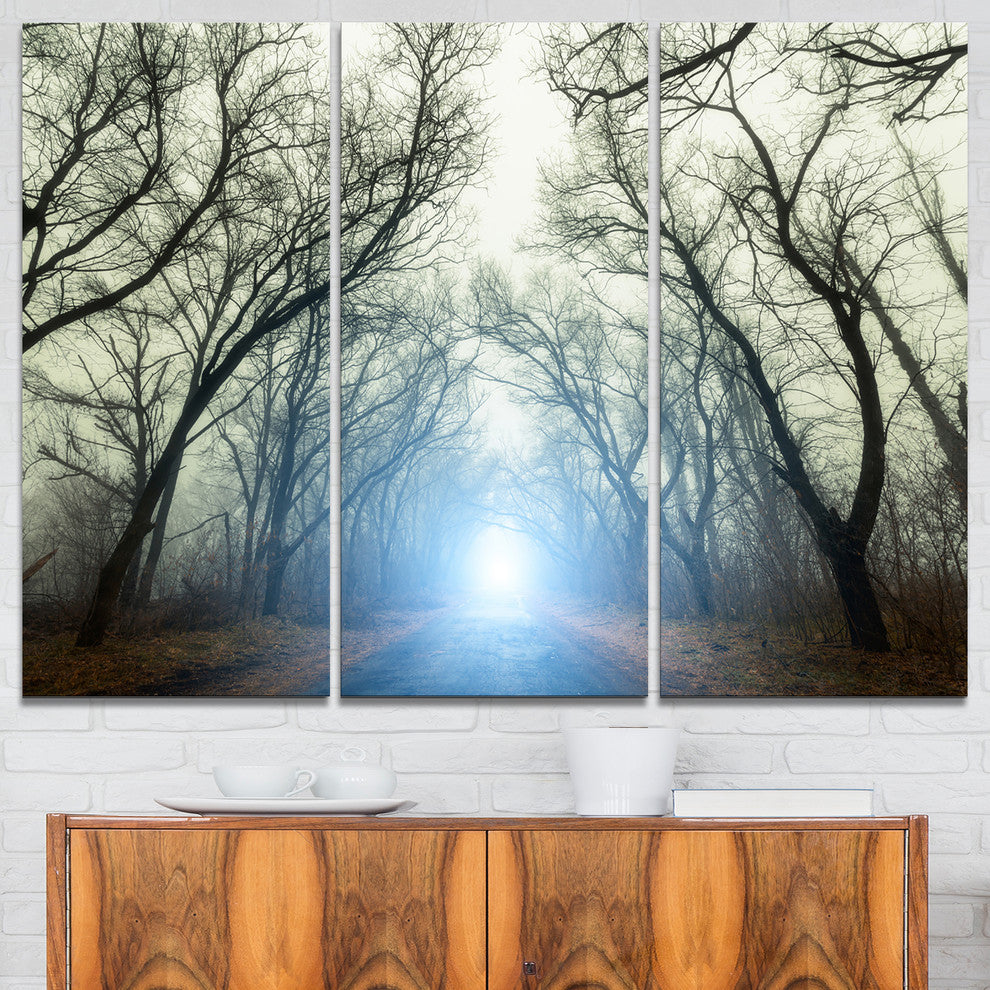 "Blue Light in Foggy Autumn" Photo Canvas Art Print, 3 Panels, 36"x28"