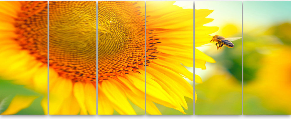 Beautiful Sunflowers Blooming, Large Animal Canvas Art Print, 70"x28", 6 Panels