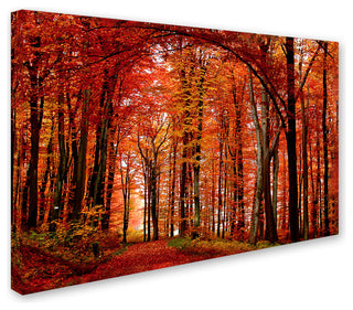 'The Red Way' Canvas Art by Philippe Sainte-Laudy