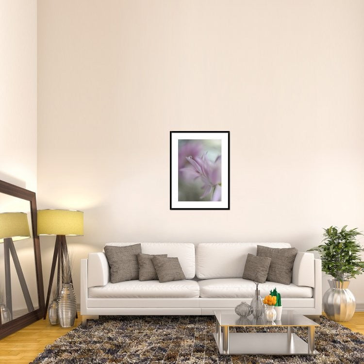 "In Pink Delight" Framed Digital Print by Heidi Westum, 29x38"