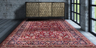 The Barren Hand-Knotted Rug, 9.3x13.2