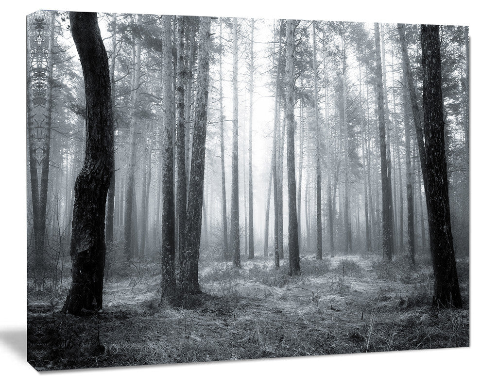 Black and White Foggy Forest, Forest Canvas Art Print, 60"x28"