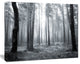 Black and White Foggy Forest, Forest Canvas Art Print, 60"x28"