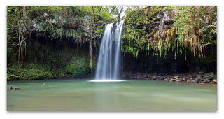 Pierre Leclerc 'Twin Falls Maui' Canvas Art, 24x12