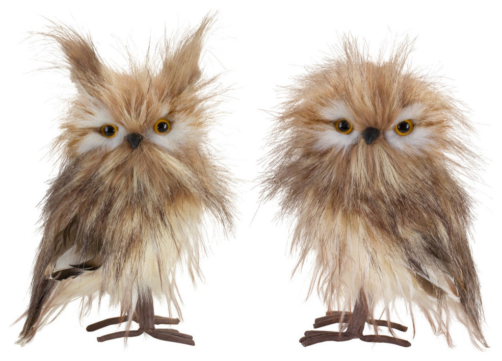 Owl Decor, 4-Piece Set