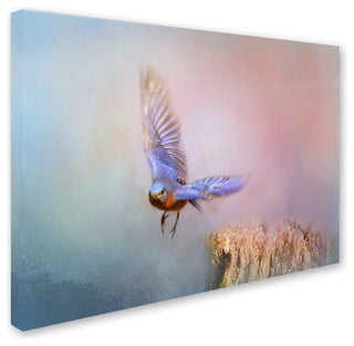 Jai Johnson 'Bluebird Escape' Canvas Art, 24 x 18