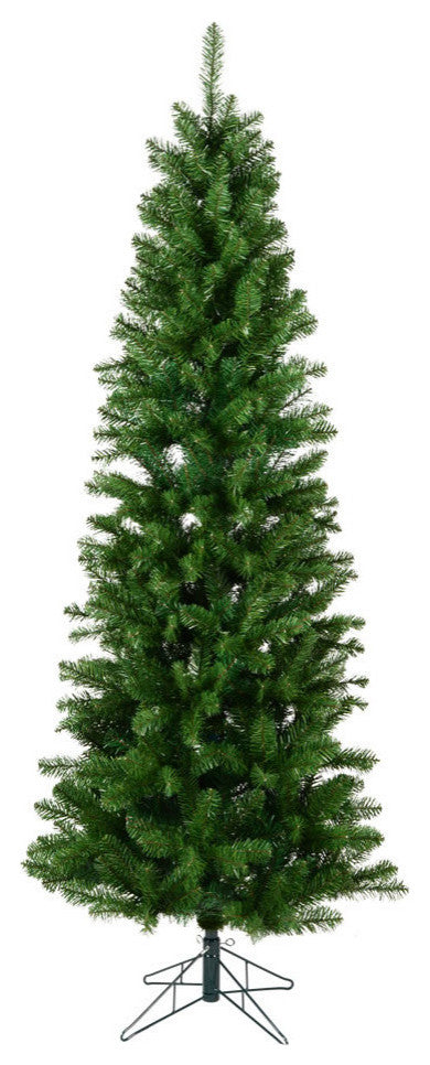 5.5' X 28" Salem Pencil Pine 343Tips