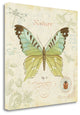 "Cote Jardin III" By Daphne Brissonnet, Giclee Print on Gallery Wrap Canvas