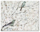 Blossoms Birds 16x20 Canvas Wall Art