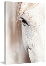 "Gentle Eye" Painting Print on Canvas