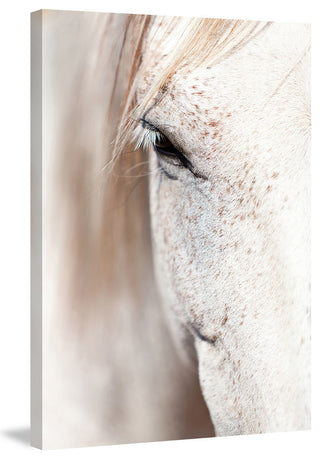 "Gentle Eye" Painting Print on Canvas