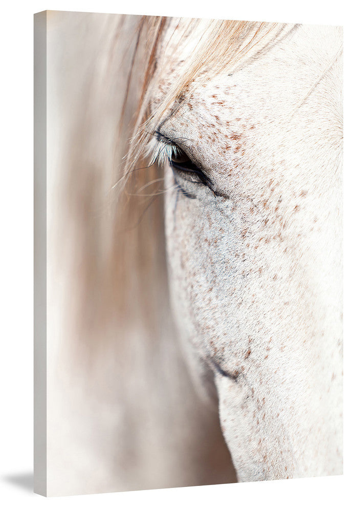 "Gentle Eye" Painting Print on Canvas