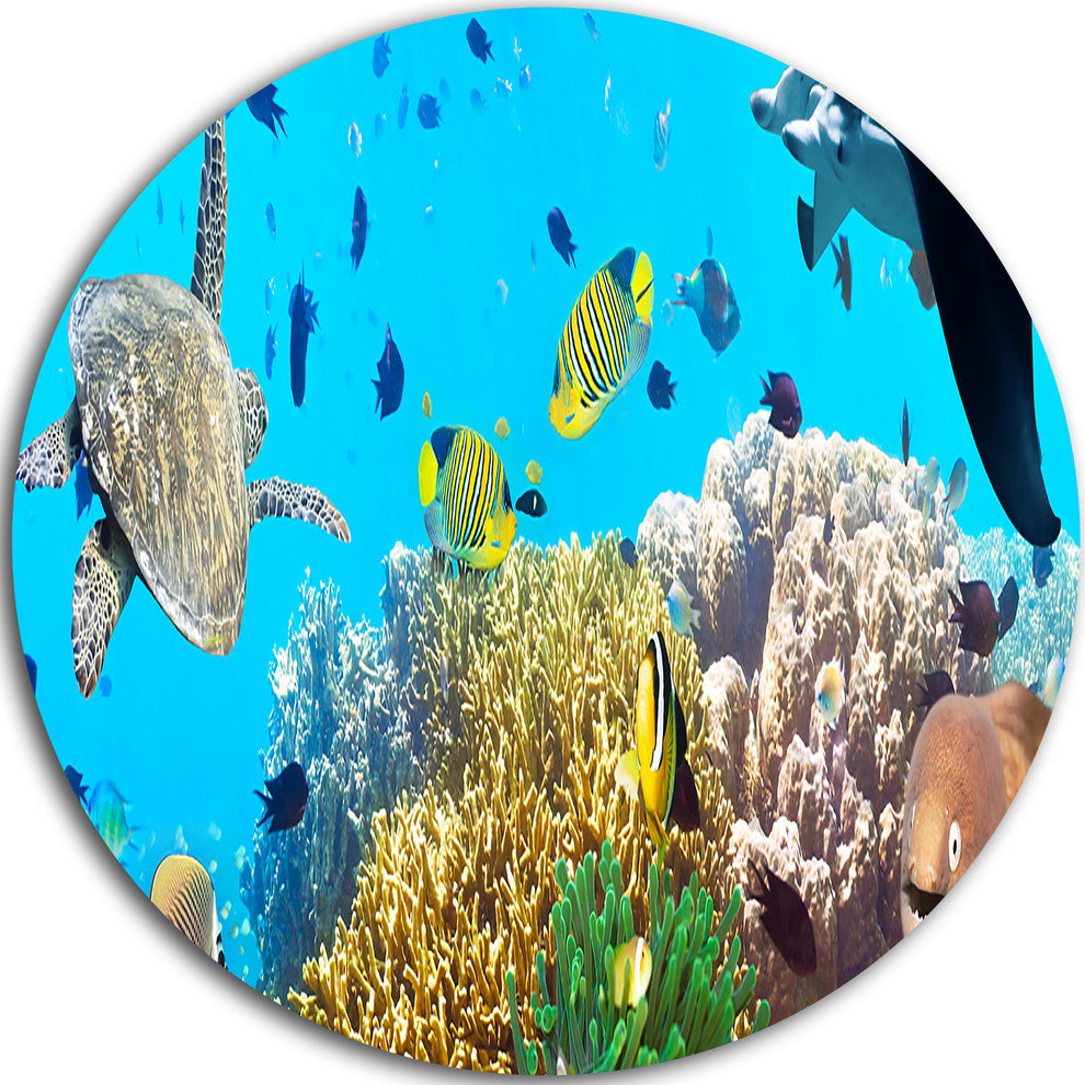 Underwater Panorama With Sea Creatures, Photo Round Wall Art, 23"