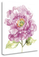 "Water Flower I" By Wild Apple Portfolio, Giclee Print on Gallery Wrap Canvas