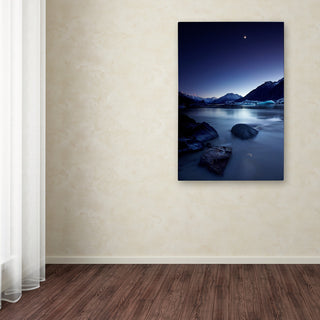 Yan Zhang 'Moonlight' Canvas Art, 16x24