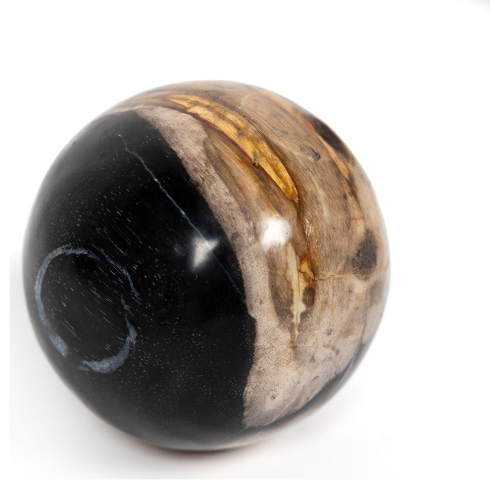 Petrified Wood Balls, Set 3-Dark