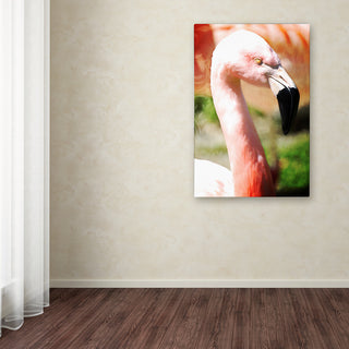 Tina Lavoie 'Pink Flamingo I' Canvas Art, 30" x 47"