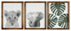 Jungle Safari Modern Wall Art Set
