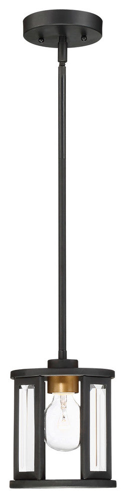 Nuvo Payne 1-Light Incandescent Mini-Pendant Light Fixture, Black