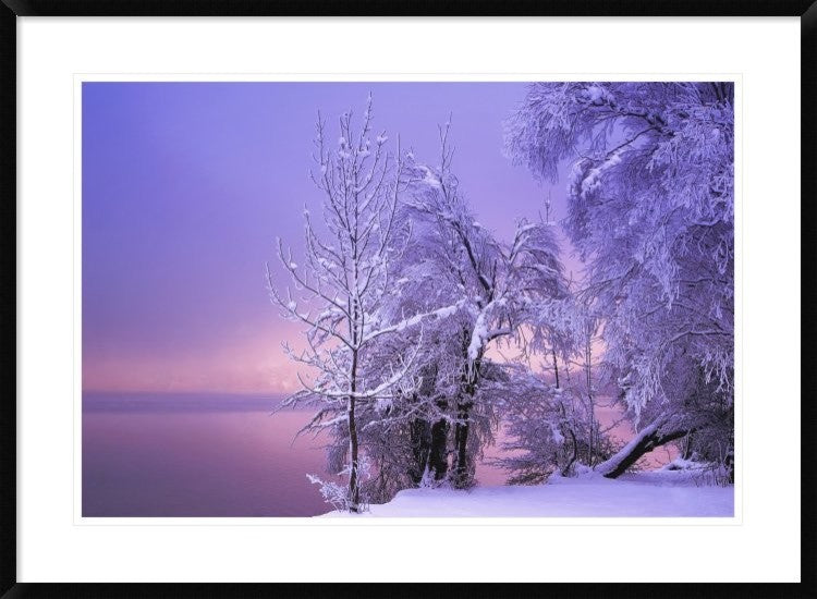 "Stillness" Framed Digital Print by Norbert Maier, 38"x28"