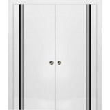 French Double Pocket Doors 60x80 | Planum 0011 White Silk | Kit Trims Rail
