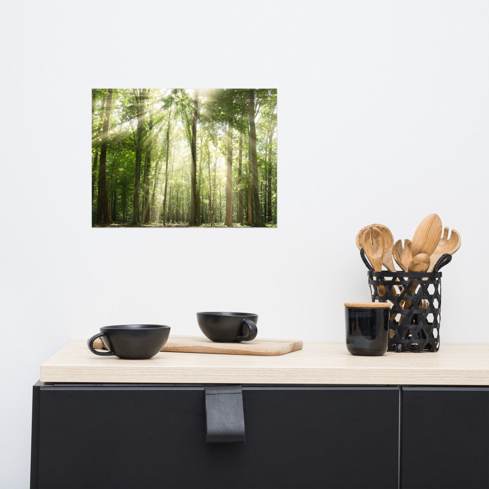 Sun Rays Through Treetops Landscape Photo Unframed Wall Art Print, 12" X 16"