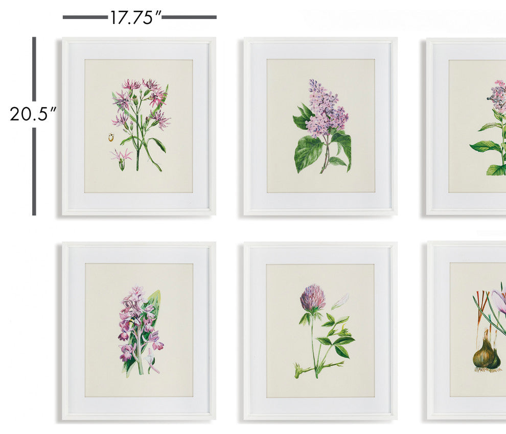6-Piece Flower Study Print Set