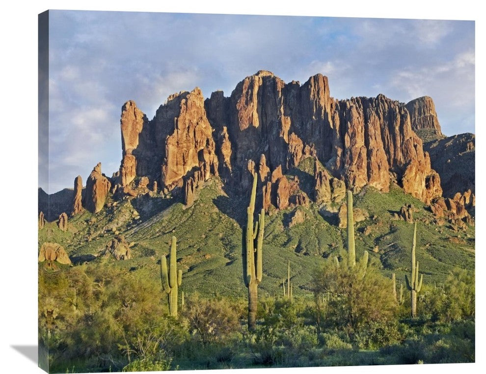 "Saguaro Cacti And Superstition Mounta, Arizona" Artwork